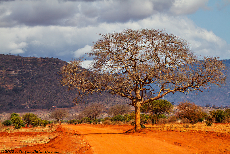 tsavo-national-park-safari-accommodation01